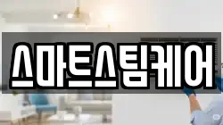 스마트스팀케어