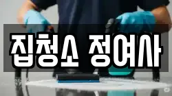 집청소 정여사