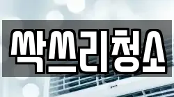 싹쓰리청소