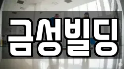 금성빌딩