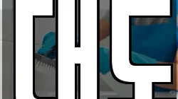 대도