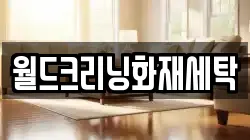 월드크리닝화재세탁