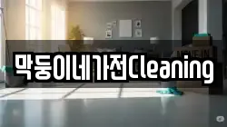 막둥이네가전Cleaning