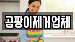 곰팡이제거업체