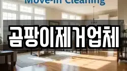 곰팡이제거업체
