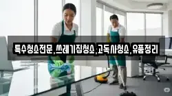 전남 나주시 봉황면 청소,입주청소,사무실청소,에어컨청소,특수청소,상가청소,거주청소,유품정리