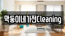 막둥이네가전Cleaning