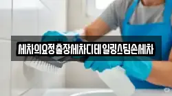 세차의요정출장세차디테일링스팀손세차