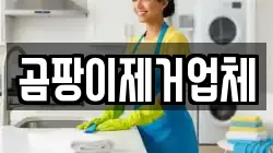 곰팡이제거업체