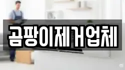 곰팡이제거업체