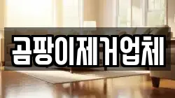 곰팡이제거업체