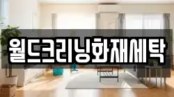 월드크리닝화재세탁