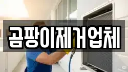 곰팡이제거업체
