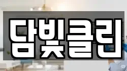 담빛클린