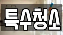 특수청소