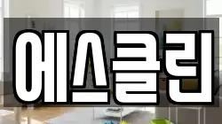 에스클린