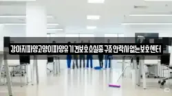 강아지파양고양이파양유기견보호소실종구조안락사없는보호센터