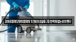 강아지파양고양이파양유기견보호소실종구조안락사없는보호센터
