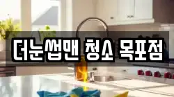 더눈썹맨 청소 목포점