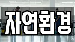자연환경