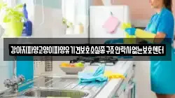 강아지파양고양이파양유기견보호소실종구조안락사없는보호센터