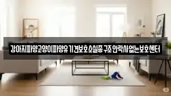 강아지파양고양이파양유기견보호소실종구조안락사없는보호센터
