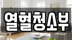 열혈청소부
