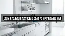 강아지파양고양이파양유기견보호소실종구조안락사없는보호센터