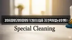 강아지파양고양이파양유기견보호소실종구조안락사없는보호센터