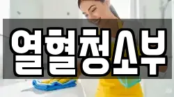 열혈청소부