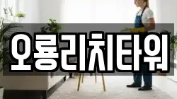 오룡리치타워