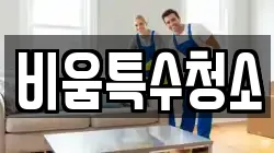 비움특수청소