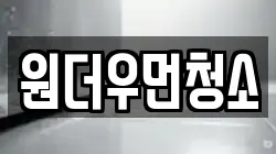 원더우먼청소