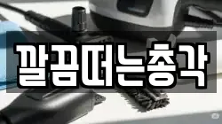 깔끔떠는총각