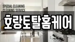 호랑토탈홈케어