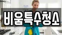 비움특수청소