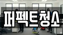 퍼펙트청소