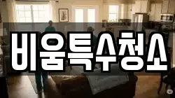 비움특수청소