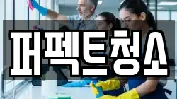 퍼펙트청소