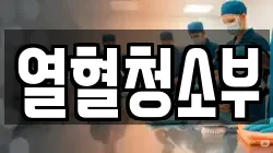 열혈청소부