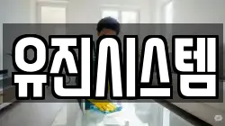 전남 신안군 청소,입주청소,사무실청소,에어컨청소,특수청소,상가청소,거주청소,유품정리