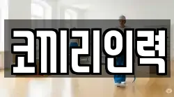 코끼리인력