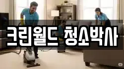 크린월드 청소박사