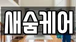 새숨케어