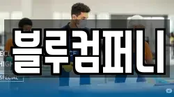 블루컴퍼니