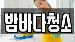밤바다청소