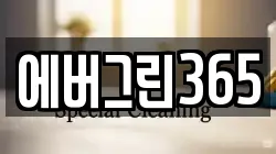 에버그린365