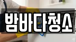 밤바다청소