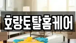 호랑토탈홈케어