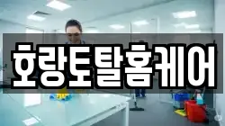 호랑토탈홈케어